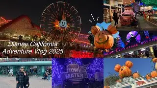 Disneyland vlog 2025 | Mickeys not so scary Halloween party  Paint the night Parade|meetingsam&colby