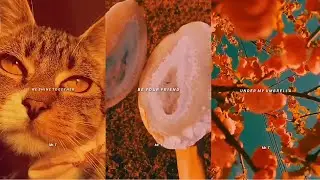Umbrella - Ember Island English Song  WhatsApp Status Lyrics Video