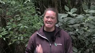 Meet Vanessa Te Roroa kauri ambassador