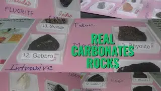 real sandstone|conglomerate|breccia|shale|real carbonates photos |chemistry 