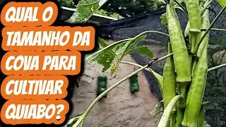 Com quantos cent&iacute;metros enterrar a semente de quiabo? Qual tamanho do buraco para plantar cultivar?