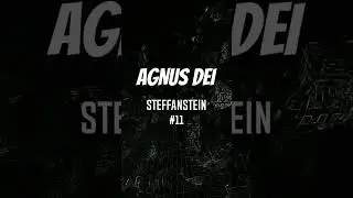 Steffanstein - Agnus Dei #11 (Official Visualizer)