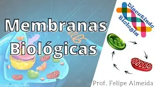 Aula de Estrutura das Membranas Biológicas - Prof. Felipe Almeida