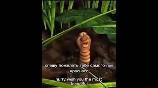 Wise worm