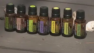 Fighting ticks with natural repellents