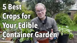 5 Best Crops for Your Edible Container Garden