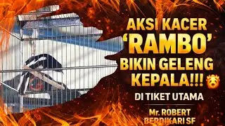 DI TIKET UTAMA🔥LIHAT AKSI KACER RAMBO FULL DURASI SUJUD HASILNYA BIKIN GELENG
