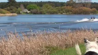 Slalom Water skiing ski school