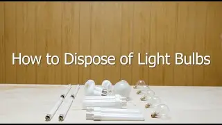 How to Safely Dispose of Fluorescent Bulbs