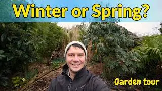 Mid-February Exotic Garden Tour: Signs of Spring or Still Winter?