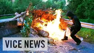 Militant French Eco-Activists Protest Deforestation: Fight for the Forest