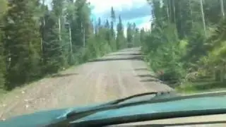Routt National Forest