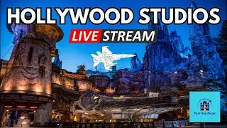 Sunset & Night Visit to Hollywood Studios!