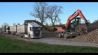 BETTERAVES FIN 2021/DETERREUSE ROPA/BUNKER MOUSE  5/ DOOSAN/DX210w/SAVIERES/AUBE/FRANCE/