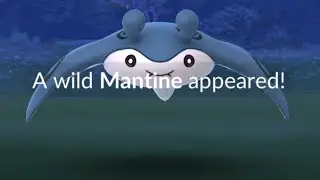 Mantine Spotlight Hour - Shiny Hunt - Live - Pokemon GO