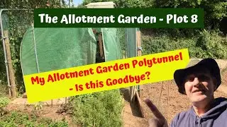 #3 My Allotment Garden Polytunnel - Is this Goodbye?