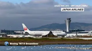 🇯🇵 Japan Airlines Boeing 787-9 Dreamliner Taxi and Takeoff | SFO ✈️ NRT |    #planespotting
