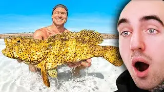 Zikurat reacts Surviving In World's Deadliest Tide Pool With Bare Hands