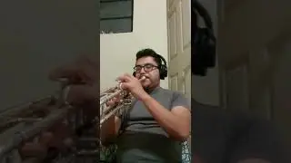 Las Avispas - Solo Metales Cover