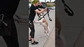 Extreme Human Aggression Progress