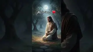 Jesus, my Lord💐❤️🙏#jesus #jesuschrist #jesuslovesyou #jesussaves #sonofgod #christ #lordjesus #love