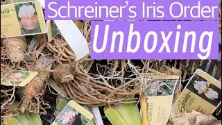 July 2024 Schreiner&rsquo;s Iris order unboxing. #iris #irises #flowers #perennial