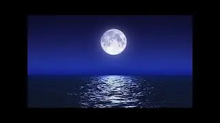 Sleep Music With Ocean and Jungle Sounds &ndash; Relaxing Blue Screen Scene &ndash; Ocean and Full Moon