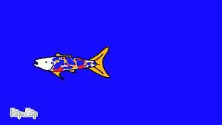 2 fish meet together