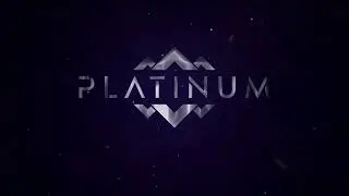 PLATINUM | Exclusive and Modern | Sai Shree Balajee Homes Pvt. Ltd.