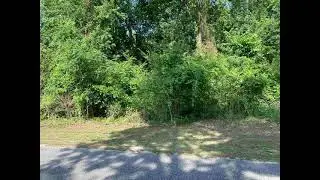 A Deer Run Ave., Andrews, SC 29510 - Land - Real Estate - For Sale