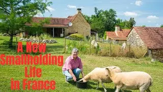 Starting self sufficiency in France (Self sufficiency for Beginners)