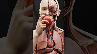 Your Joint Pain Is Getting Worse &mdash; Until You Add This Apple Habit #healthtips  #shorts