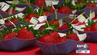 Food, children's activities big hits at Santa Maria Valley Strawberry Festival