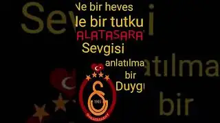 Ne bir tutku ne bir heves