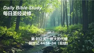 Daily Bible Study Day 232