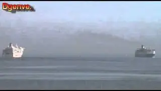 Oscar Wilde ferry arriving at Roscoff ferry port in real time!!!!!!!
