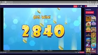 BONUS HUNT &pound;500 start I think🤣ft DOG HOUSE MEGAWAY, PRIMAL and more