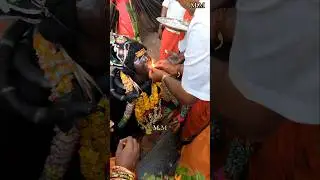 Kulasai dasara 2025