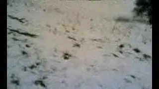 aggressive sledging