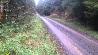 Rally at Springwell forest