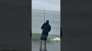 ohawe taranaki