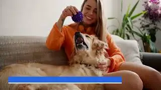 Productivity vs Pet Distractions#loveforanimals#petlovers#stressbuster
