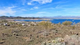 Экскурсия с наблюдением за дикими ослами | Озеро Плезант, Аризона