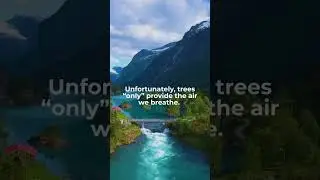 Green Agenda: nature, clean air, safe water and region&rsquo;s biodiversity