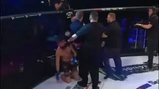 Conor McGregor attacks referee after friend's victory