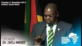 AEES   Dr Zweli Mkhize