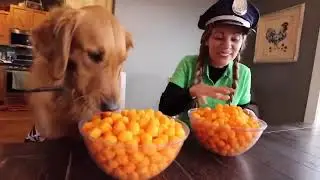 Life of Sammie and Summer! Rubber Ducky Surprises Puppy Frog and Police in Car Ride Chase