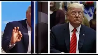 Donald from the queens corgi if he was real