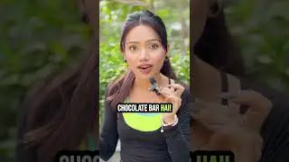 Proathlix | Red Flags in Protein Bars