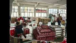 Indian Clients Visit SUNROOM Factory#SUNROOM #FactoryVisit #FireSafety#B2B #ClientVisit#MadeInChina